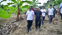 Sebelumnya di Bone, Bahtiar juga melakukan perjalanan jauh lewat darat untuk menggalakkan Program Ketahanan Pangan, melakukan penanaman pisang cavendish dan sukun di Desa Bonto Masunggu, Kecamatan Tellulimpoe.