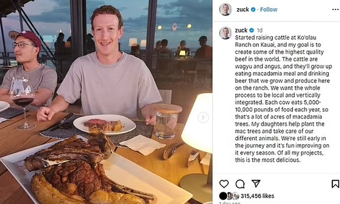 Mark Zuckerberg Bangun Peternakan Sapi Wagyu Senilai Rp 4,2 T