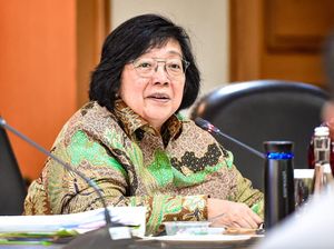 Menteri LHK Ungkap Pentingnya Implementasi Carbon Governance yang Tepat