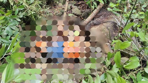 Lokasi penemuan mayat di Gunung Neweng, Desa Golo Ndari, Kecamatan Welak, Manggarai Barat, Kamis (11/1/2024).