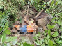 Wanita Ditemukan Membusuk di Hutan, Kepala Tinggal Tengkorak