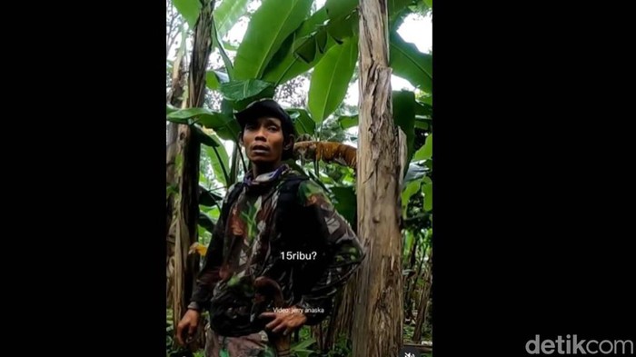 Petani yang mencak-mencak kepada pemotor yang lintasi perkebunan pisang di Bandung Barat