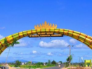 7 Wisata Alam di Pringsewu, Tempat Terbaik untuk Menikmati Hamparan Sawah