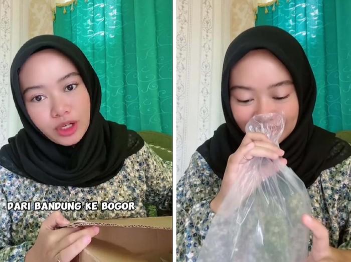 Video kocak viral, remaja ini membeli angin Jakarta dan Bandung melalui E-commerce. Dia pun mengulas pesanannya itu dan berhasil membuat warganet ngakak