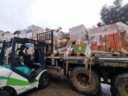 WHO Berhasil Distribusikan Bantuan ke RS Al-Shifa Gaza