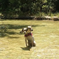 foto kocak hewan mode panorama