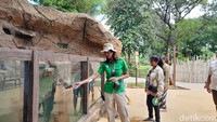 Di Solo Safari, Klaudia bekerja sebagai customer experience dan bertugas menjelaskan tentang satwa kepada pengunjung.