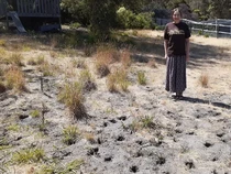 Ada Lomba Unik Pamer Taman Rumah Terjelek di Dunia, Ini Pemenangnya!