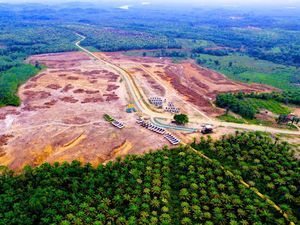 Basuki Ungkap 2.806 Ha Lahan Bermasalah di IKN Belum Beres