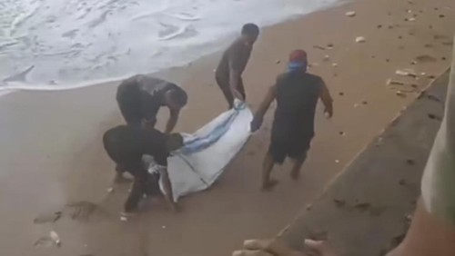 Empat warga saat mengevakuasi jenazah pria di tepi pantai dekat pertokoan Siliwangi, Kelurahan LLBK, Kecamatan Kota Lama, Kota Kupang, NTT, Minggu (14/1/2024). (Istimewa)