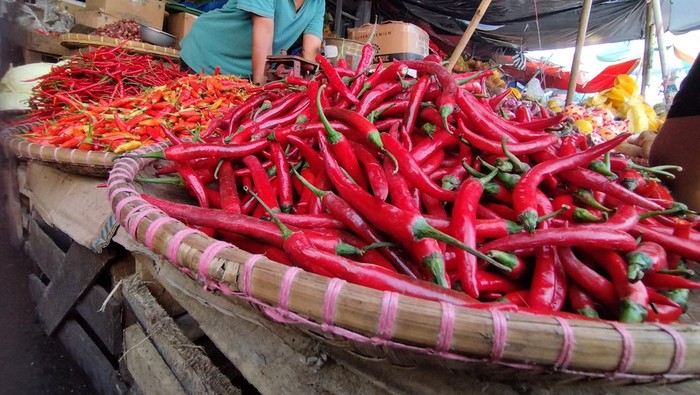 Harga cabai mulai jinak