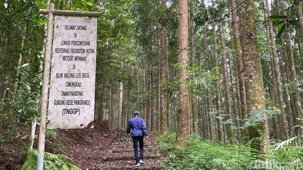 Kawasan Balai Taman Nasional Gunung Gede Pangrango (BTNGGP), Sukabumi.