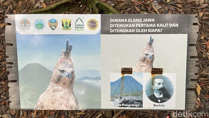 Kawasan Balai Taman Nasional Gunung Gede Pangrango (BTNGGP), Sukabumi.