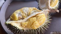 Kami berkesempatan mencoba salah satu durian unggulan mereka, yaitu durian D24. Meskipun dapat yang kecil, tetapi dagingnya banyak dan tebal. Foto: Detikcom / Atiqa Rana
