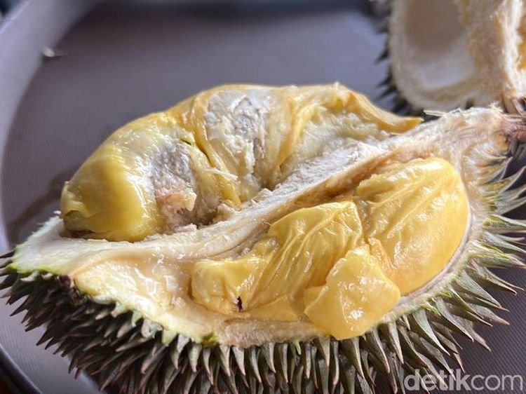 Serunya Keliling Kebun Durian hingga Cicip Durian Premium D24 di Depok