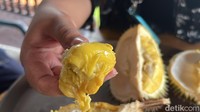 Daging buah durian D24 berwarna kuning kemerah-merahan. Teksturnya lembut dengan rasa manis kepahit-pahitan. Foto: Detikcom / Atiqa Rana