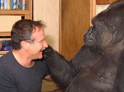 15 Kejadian Aneh dalam Sejarah yang Tak Bisa Dijelaskan