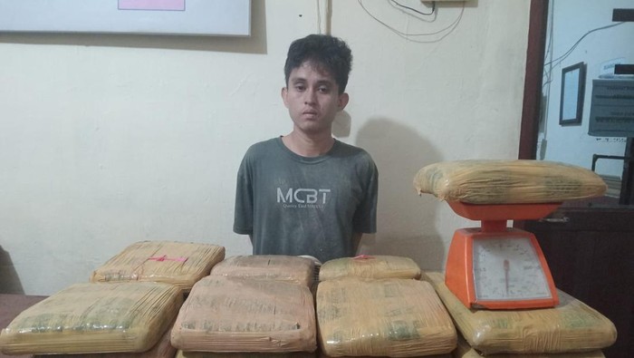Pria bernama Syahril Dalimunthe (22) ditangkap polisi bawa 35 kg ganja. (Dok Polres Padang Sidimpuan)