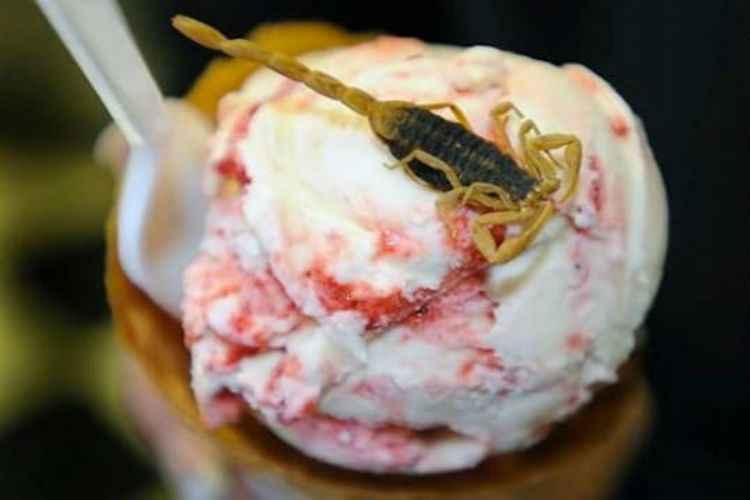 ekstrim!  5 Makanan Enak dan Populer Ini Pakai Topping Kalajengking