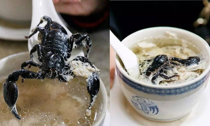 Ekstrem! 5 Makanan Enak dan Populer Ini Pakai Topping Kalajengking