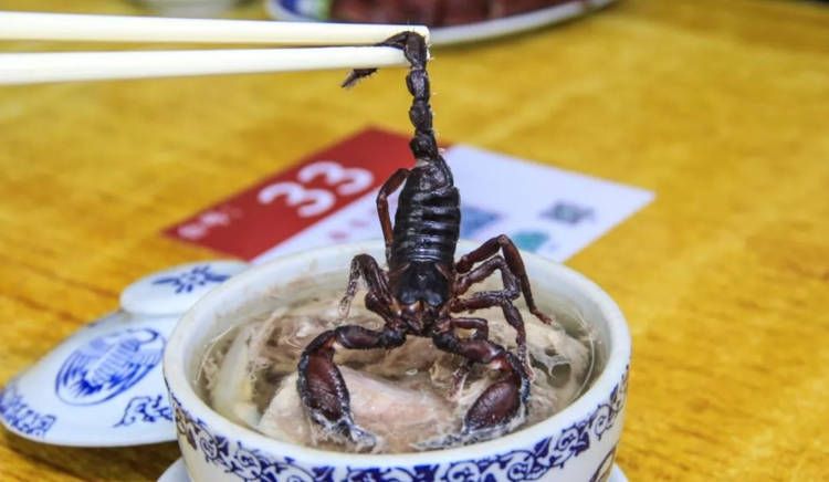 Ekstrem! 5 Makanan Enak dan Populer Ini Pakai Topping Kalajengking