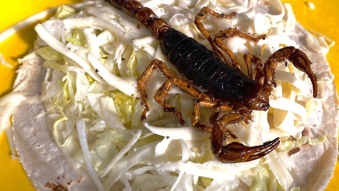 Ekstrem! 5 Makanan Enak dan Populer Ini Pakai Topping Kalajengking
