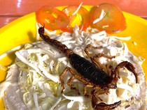 7 Arti Mimpi Kalajengking Menurut Pandangan Islam, Selalu Jadi Pertanda Buruk?