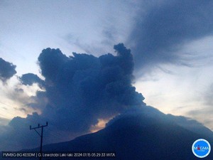 Gunung Lewotobi Laki-laki Erupsi, Tinggi Kolom Letusan Capai 700 Meter