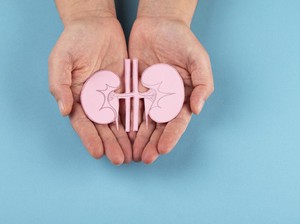 Viral Minum Air Es Disebut Bisa Merusak Ginjal, Ini Faktanya Menurut Dokter