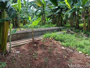 Ada Kasus Korupsi di Balik Proyek Kali Jaksel yang Mangkrak 11 Tahun