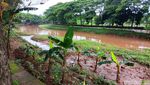 Foto: 11 Tahun Mangkraknya Revitalisasi Kali di Jaksel yang Sering Bikin Banjir