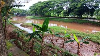 Berdasarkan situs BPK Perwakilan Pemprov DKI Jakarta, Senin (15/1/2024), proyek ini sudah terhenti saat Joko Widodo (Jokowi) masih menjabat sebagai Gubernur DKI Jakarta sekitar tahun 2013.
