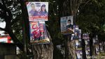 Potret Poster Caleg Dicap Tersangka Penusukan Pohon