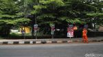 Potret Poster Caleg Dicap Tersangka Penusukan Pohon