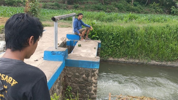 Sungai irigasi tempat bocah yang kulitnya melepuh di Jember