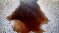 Warna-warna yang kaya dan tidak alami dalam foto-foto awal Boissevain adalah hasil dari salinitas air. 