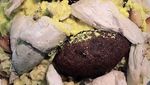 Tampilannya Asal-asalan, 10 Makanan Ini Justru Bikin Mual!