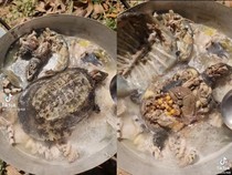 Tampilannya Asal-asalan, 10 Makanan Ini Justru Bikin Mual!