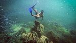 Pesona Wisata Bawah Air Pulau Cubagua yang Indahnya Kebangetan