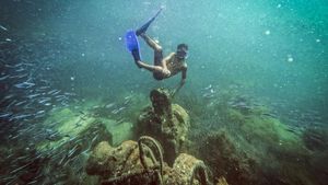 Pesona Wisata Bawah Air Pulau Cubagua yang Indahnya Kebangetan