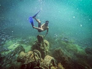 Pesona Wisata Bawah Air Pulau Cubagua yang Indahnya Kebangetan