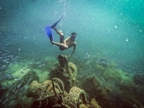 Pesona Wisata Bawah Air Pulau Cubagua yang Indahnya Kebangetan