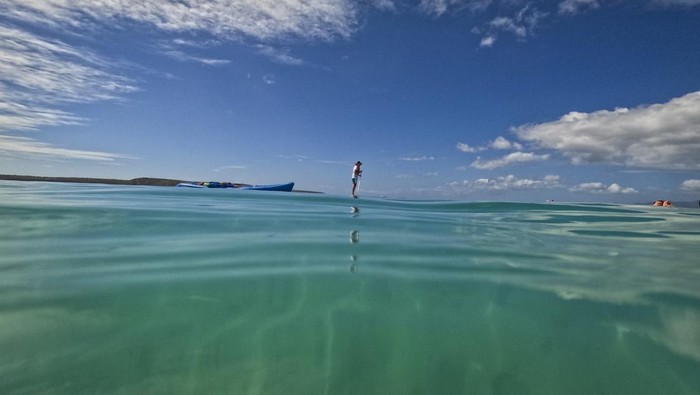 Wisata Bawah Air Pulau Cubagua yang Indahnya Kebangetan Wisata Bawah Air Pulau Cubagua yang Indahnya Kebangetan