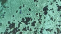 Foto udara memperlihatkan beningnya air laut di kawasan Pulau Cubagua, Venezuela, Minggu (14/1/2024).