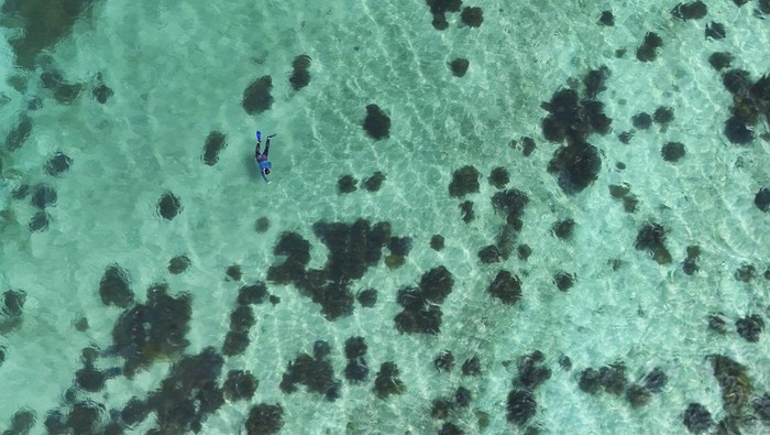 Wisata Bawah Air Pulau Cubagua yang Indahnya Kebangetan