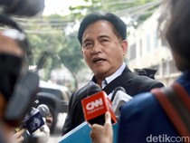 Yusril: Presiden-Wapres Memang Dibolehkan UU untuk Kampanye