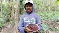 Misdi (60) memperlihatkan hasil entung ulat jati yang di dapat hari ini. Entung ulat jati itu laku dijual seharga Rp 100 ribu per kilogram.