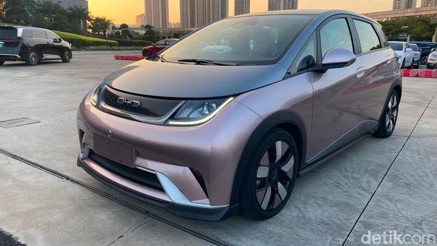 BYD Dolphin
