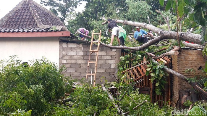 Warga memotongi pohon yang tumbang menimpa rumah Sugiyanti, Dukuh Jomboran RT 01/11 Kelurahan Kemiri, Kecamatan Mojosongo, Boyolali, Selasa (16/1/2024).