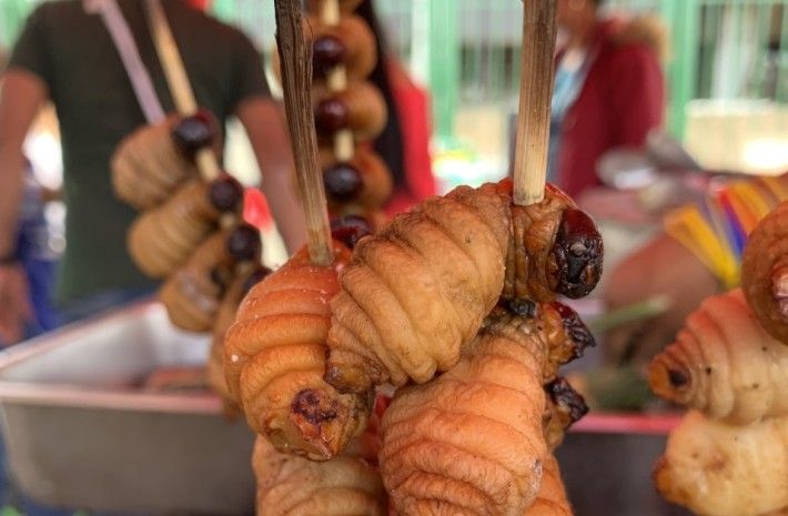 Momen Lezat!  5 Makanan Populer di Luar Negeri Ini Terbuat dari Cacing